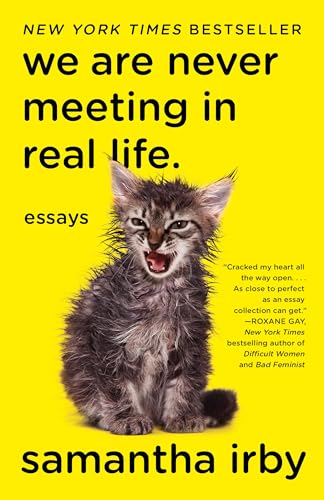 WE ARE NEVER MEETING IN REAL LIFE