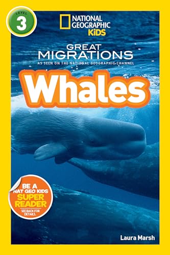 NGK RDR WHALES