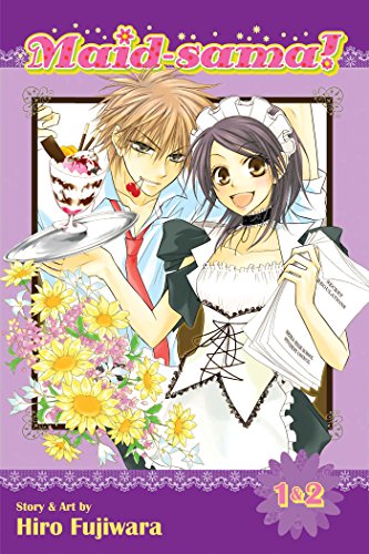 MAID SAMA 2 IN 1 ED V01