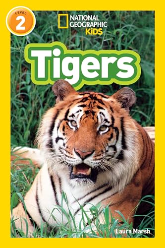 NGK RDR TIGERS