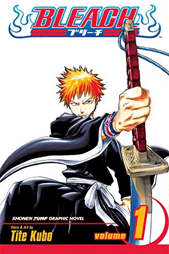 BLEACH V01