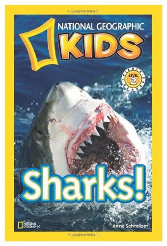 NGK RDR SHARKS