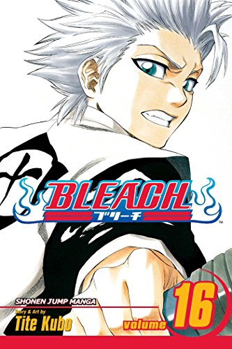 BLEACH V16