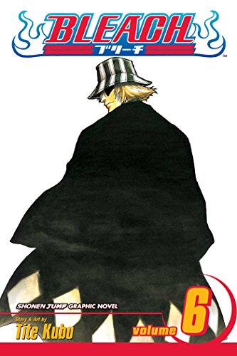 BLEACH V06
