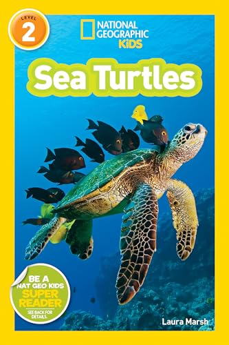 NGK RDR SEA TURTLES