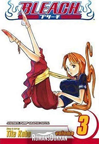 BLEACH V03