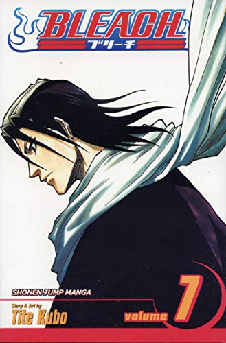 BLEACH V07