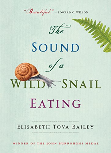 SOUND OF A WILD SNAIL EATING