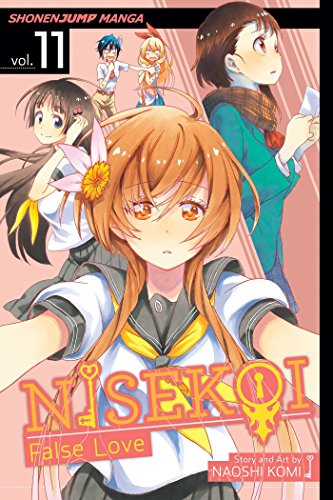 NISEKOI FALSE LOVE V11