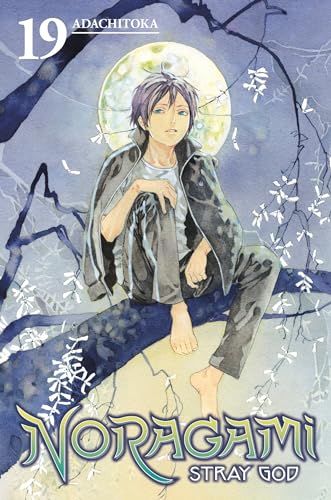 NORAGAMI STRAY GOD V19