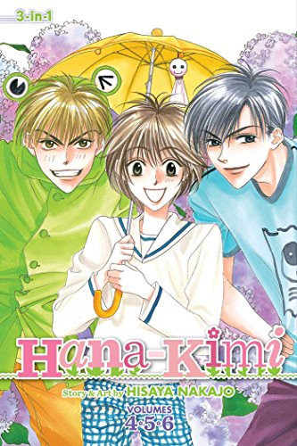 HANA KIMI 3 IN 1 ED V02