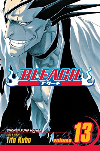 BLEACH V13