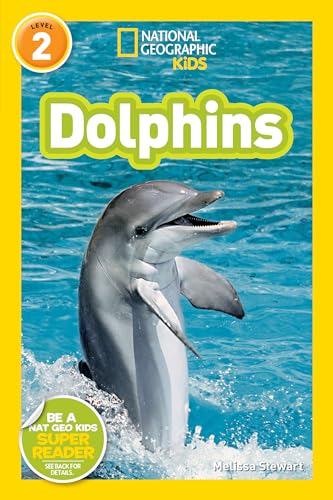 NGK RDR DOLPHINS