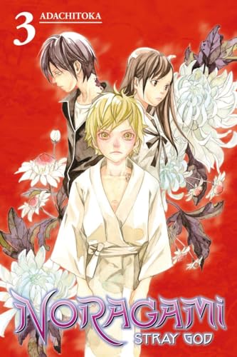 NORAGAMI STRAY GOD V03