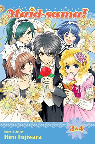 MAID SAMA 2 IN 1 ED V02