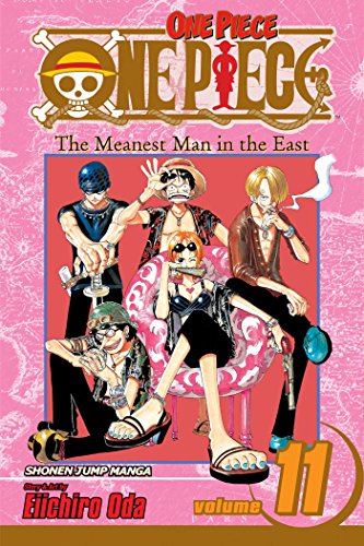 ONE PIECE V11